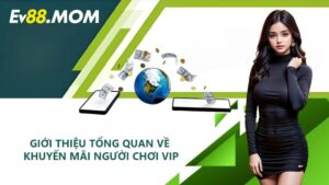 Giới thiệu tổng quan về khuyến mãi người chơi VIP