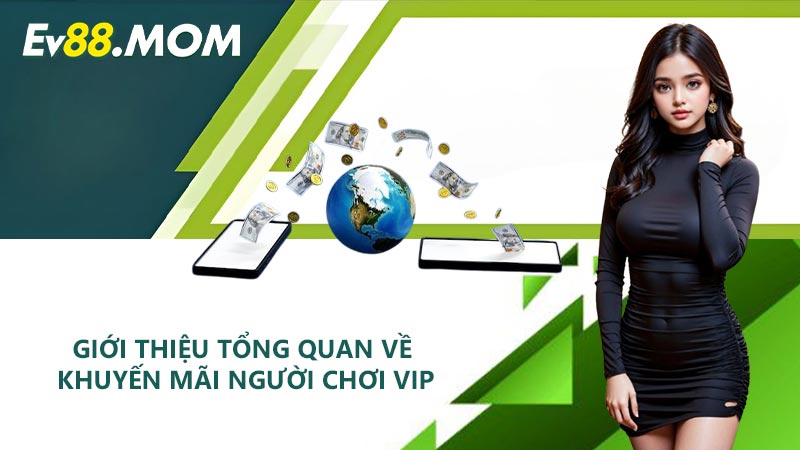 Giới thiệu tổng quan về khuyến mãi người chơi VIP