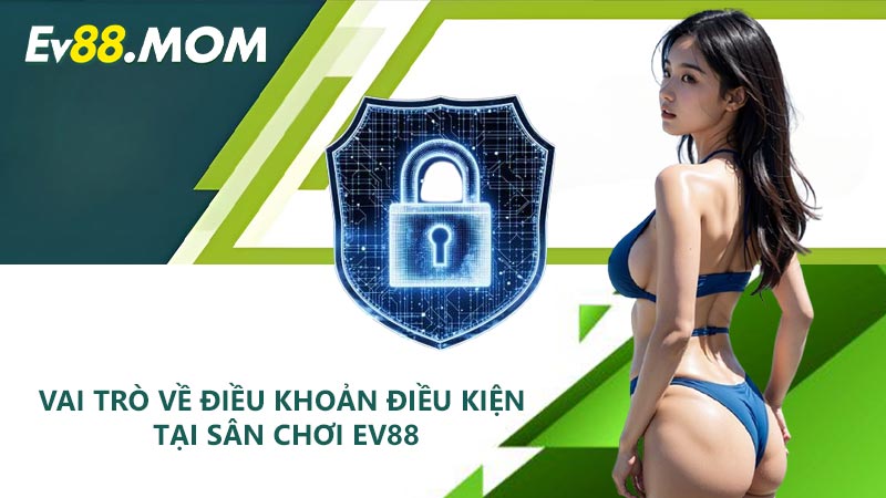 Vai trò về điều khoản điều kiện tại sân chơi EV88