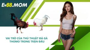 Vai Trò Của Thủ Thuật Đá Gà Thomo Trong Trận Đấu