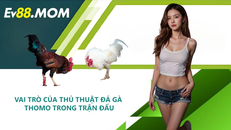 Vai Trò Của Thủ Thuật Đá Gà Thomo Trong Trận Đấu